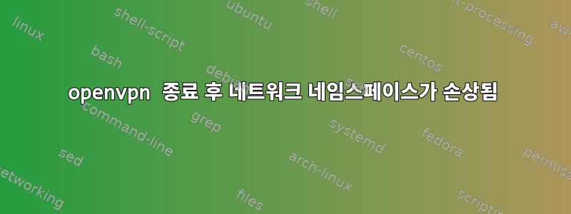 openvpn 종료 후 네트워크 네임스페이스가 손상됨