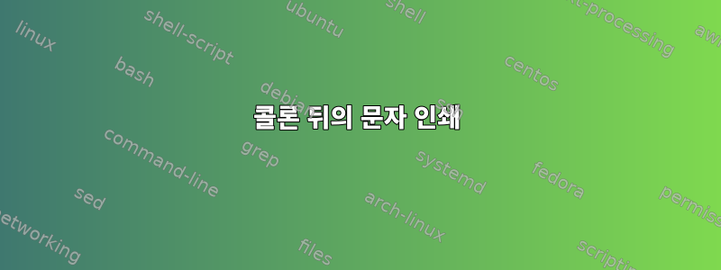 콜론 뒤의 문자 인쇄