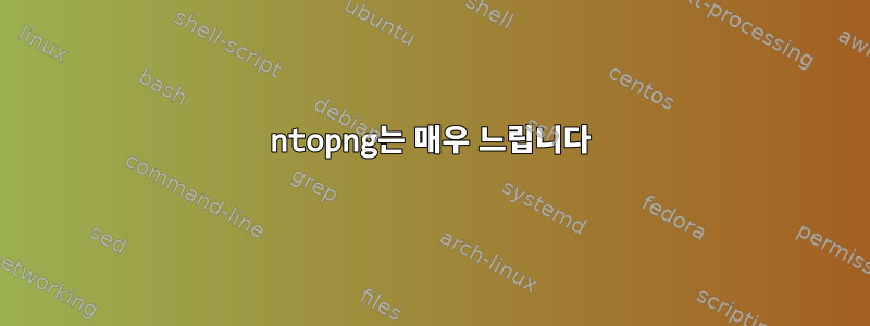 ntopng는 매우 느립니다