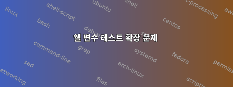 쉘 변수 테스트 확장 문제