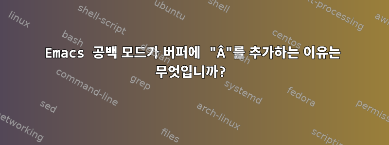 Emacs 공백 모드가 버퍼에 "Â"를 추가하는 이유는 무엇입니까?