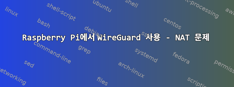 Raspberry Pi에서 WireGuard 사용 - NAT 문제