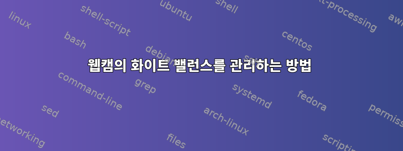 웹캠의 화이트 밸런스를 관리하는 방법