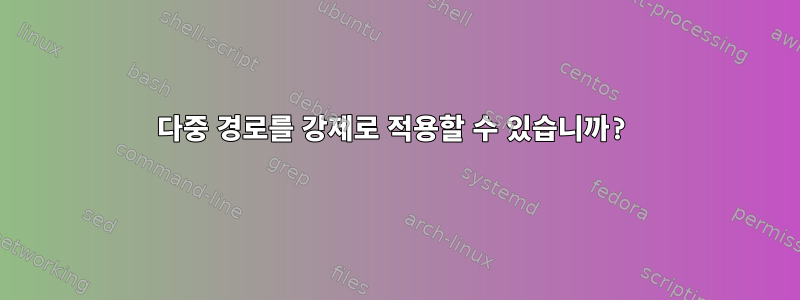 다중 경로를 강제로 적용할 수 있습니까?