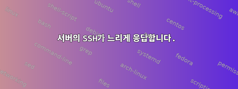 서버의 SSH가 느리게 응답합니다.