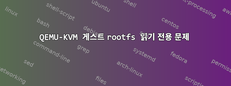 QEMU-KVM 게스트 rootfs 읽기 전용 문제