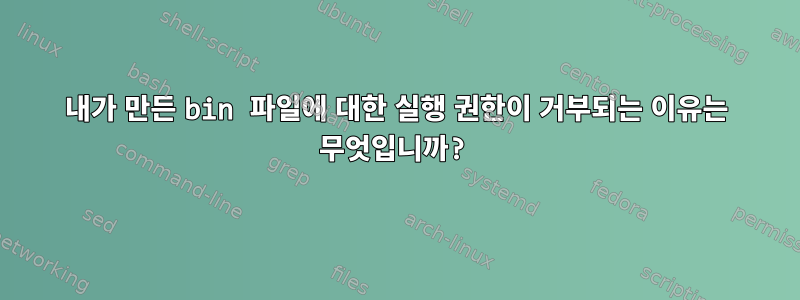 내가 만든 bin 파일에 대한 실행 권한이 거부되는 이유는 무엇입니까?