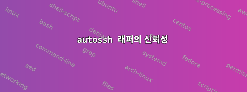 autossh 래퍼의 신뢰성