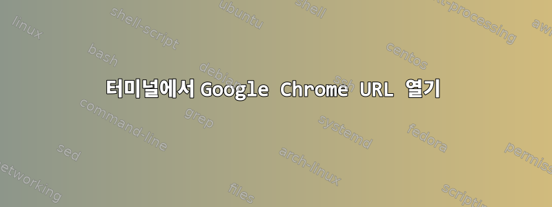 터미널에서 Google Chrome URL 열기