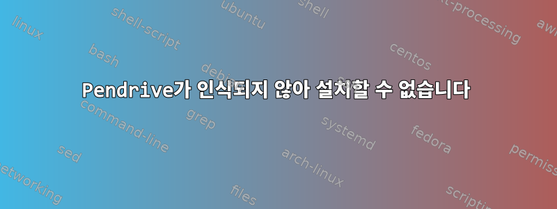 Pendrive가 인식되지 않아 설치할 수 없습니다