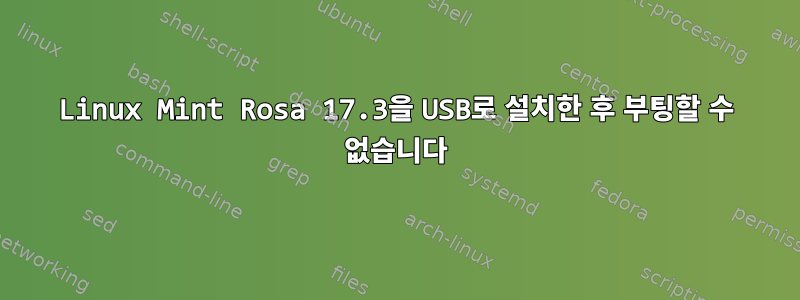 Linux Mint Rosa 17.3을 USB로 설치한 후 부팅할 수 없습니다