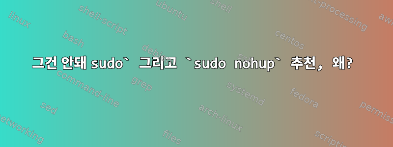 그건 안돼 sudo` 그리고 `sudo nohup` 추천, 왜?