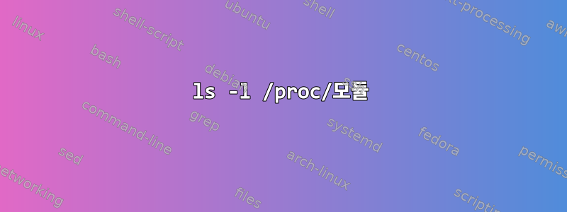 ls -l /proc/모듈