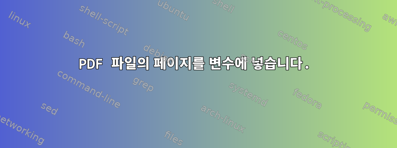 PDF 파일의 페이지를 변수에 넣습니다.