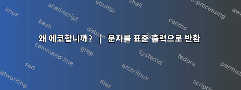 왜 에코합니까? | 문자를 표준 출력으로 반환