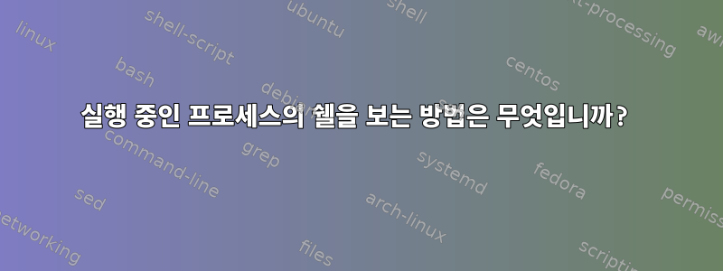 실행 중인 프로세스의 쉘을 보는 방법은 무엇입니까?