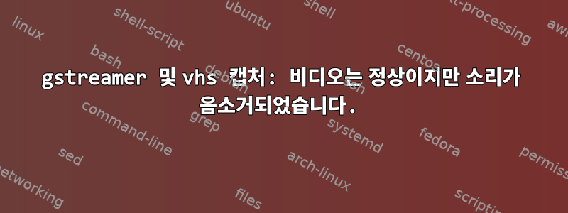 gstreamer 및 vhs 캡처: 비디오는 정상이지만 소리가 음소거되었습니다.