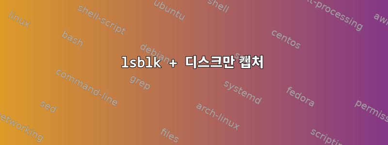 lsblk + 디스크만 캡처