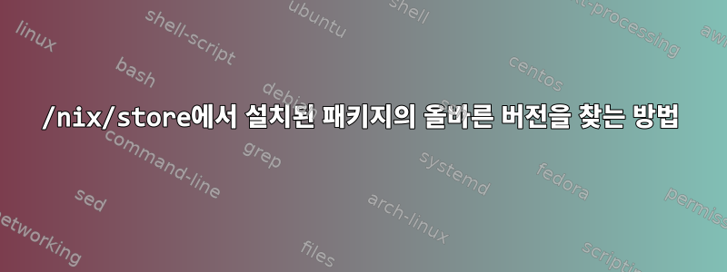 /nix/store에서 설치된 패키지의 올바른 버전을 찾는 방법