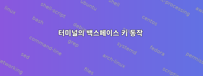 터미널의 백스페이스 키 동작