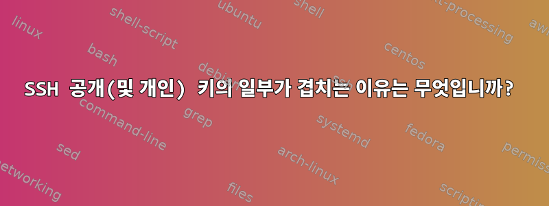 SSH 공개(및 개인) 키의 일부가 겹치는 이유는 무엇입니까?