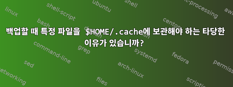 백업할 때 특정 파일을 $HOME/.cache에 보관해야 하는 타당한 이유가 있습니까?