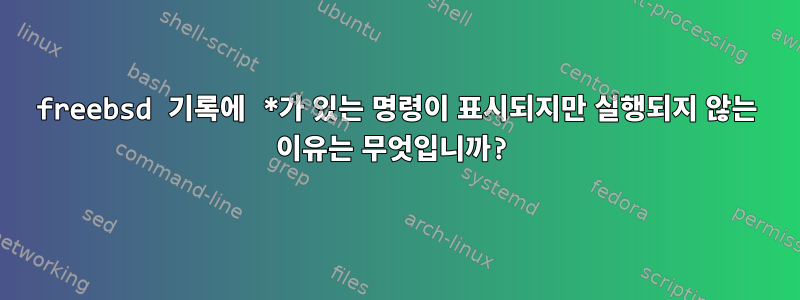 freebsd 기록에 *가 있는 명령이 표시되지만 실행되지 않는 이유는 무엇입니까?