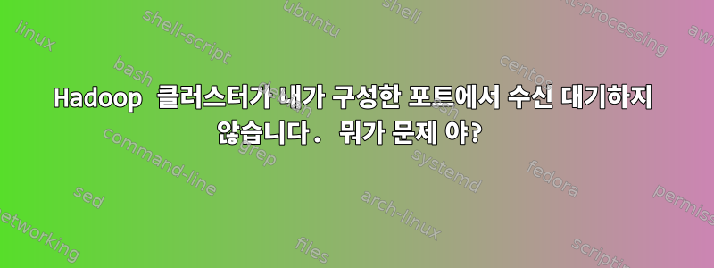 Hadoop 클러스터가 내가 구성한 포트에서 수신 대기하지 않습니다. 뭐가 문제 야?