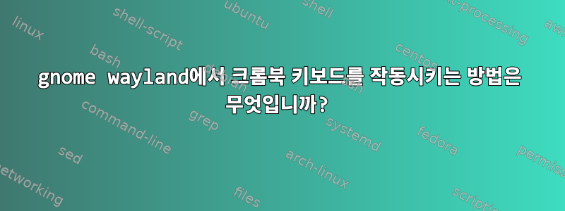 gnome wayland에서 크롬북 키보드를 작동시키는 방법은 무엇입니까?