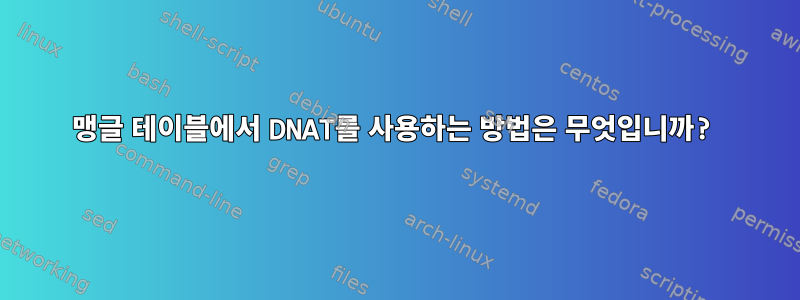 맹글 테이블에서 DNAT를 사용하는 방법은 무엇입니까?