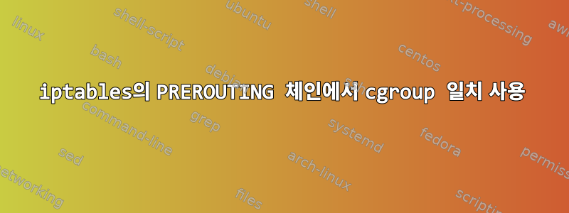 iptables의 PREROUTING 체인에서 cgroup 일치 사용