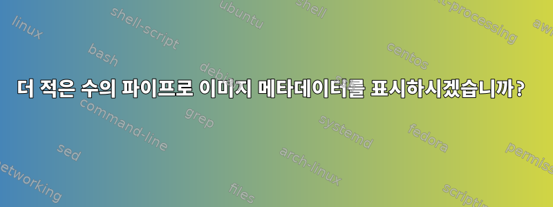 더 적은 수의 파이프로 이미지 메타데이터를 표시하시겠습니까?