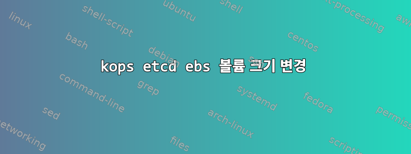 kops etcd ebs 볼륨 크기 변경