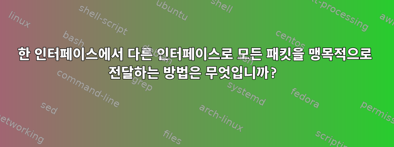 한 인터페이스에서 다른 인터페이스로 모든 패킷을 맹목적으로 전달하는 방법은 무엇입니까?