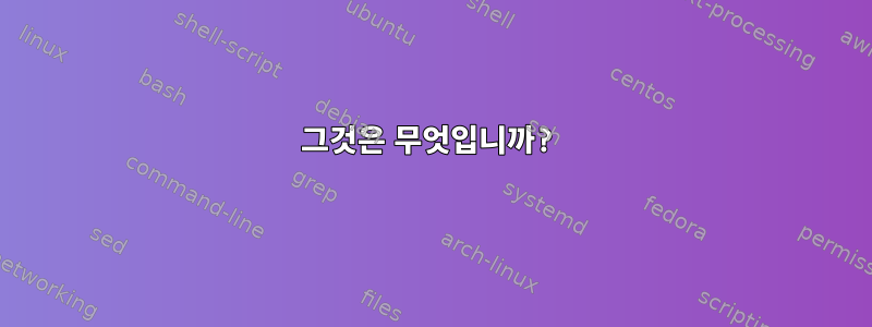 그것은 무엇입니까?