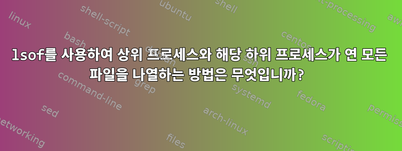 lsof를 사용하여 상위 프로세스와 해당 하위 프로세스가 연 모든 파일을 나열하는 방법은 무엇입니까?