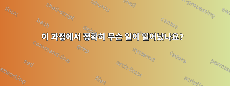 이 과정에서 정확히 무슨 일이 일어났나요?