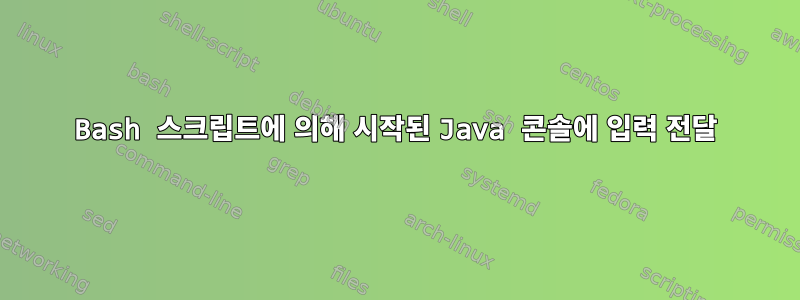 Bash 스크립트에 의해 시작된 Java 콘솔에 입력 전달