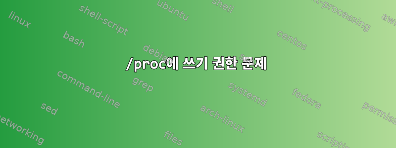 /proc에 쓰기 권한 문제