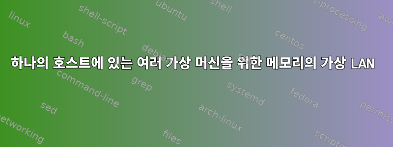 하나의 호스트에 있는 여러 가상 머신을 위한 메모리의 가상 LAN