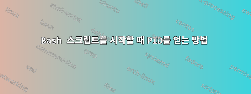 Bash 스크립트를 시작할 때 PID를 얻는 방법