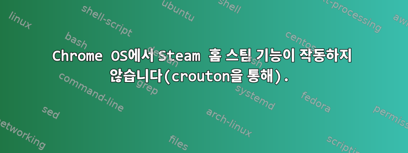 Chrome OS에서 Steam 홈 스팀 기능이 작동하지 않습니다(crouton을 통해).