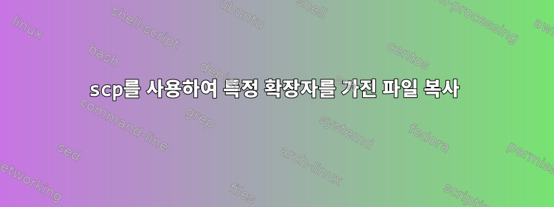 scp를 사용하여 특정 확장자를 가진 파일 복사