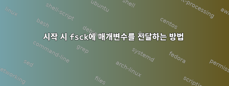 시작 시 fsck에 매개변수를 전달하는 방법