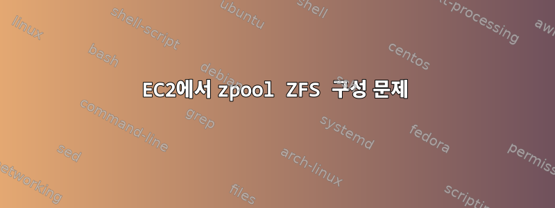 EC2에서 zpool ZFS 구성 문제