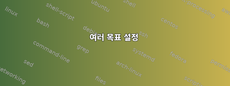 여러 목표 설정