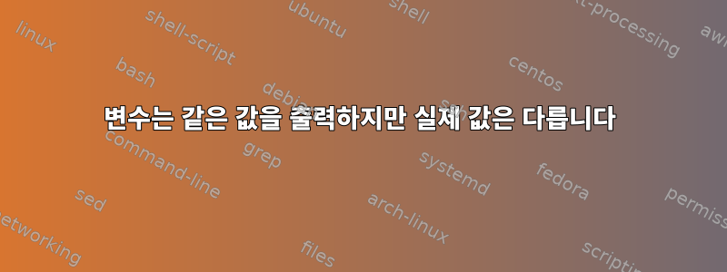 변수는 같은 값을 출력하지만 실제 값은 다릅니다