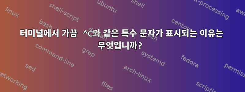 터미널에서 가끔 ^C와 같은 특수 문자가 표시되는 이유는 무엇입니까?