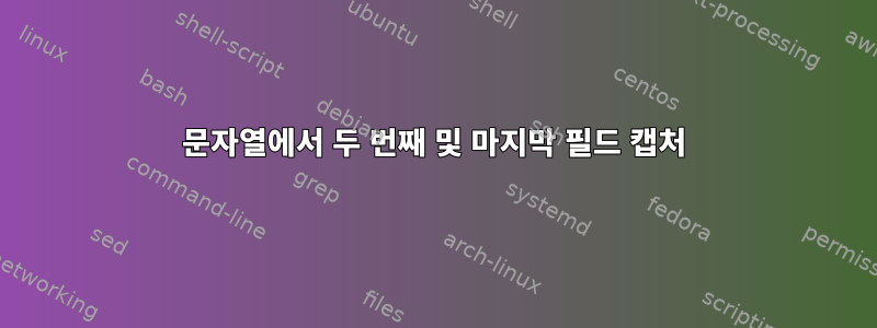 문자열에서 두 번째 및 마지막 필드 캡처