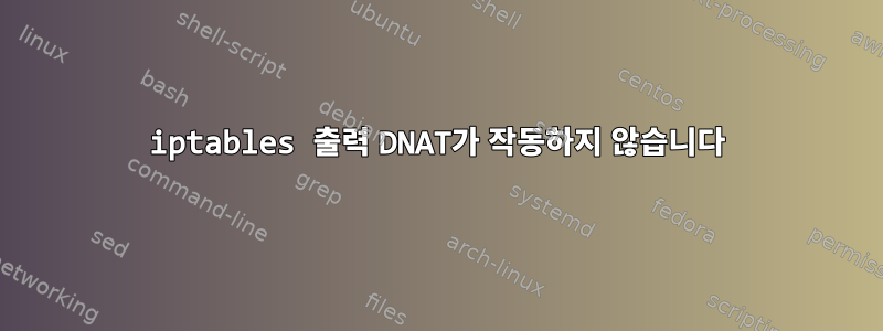 iptables 출력 DNAT가 작동하지 않습니다